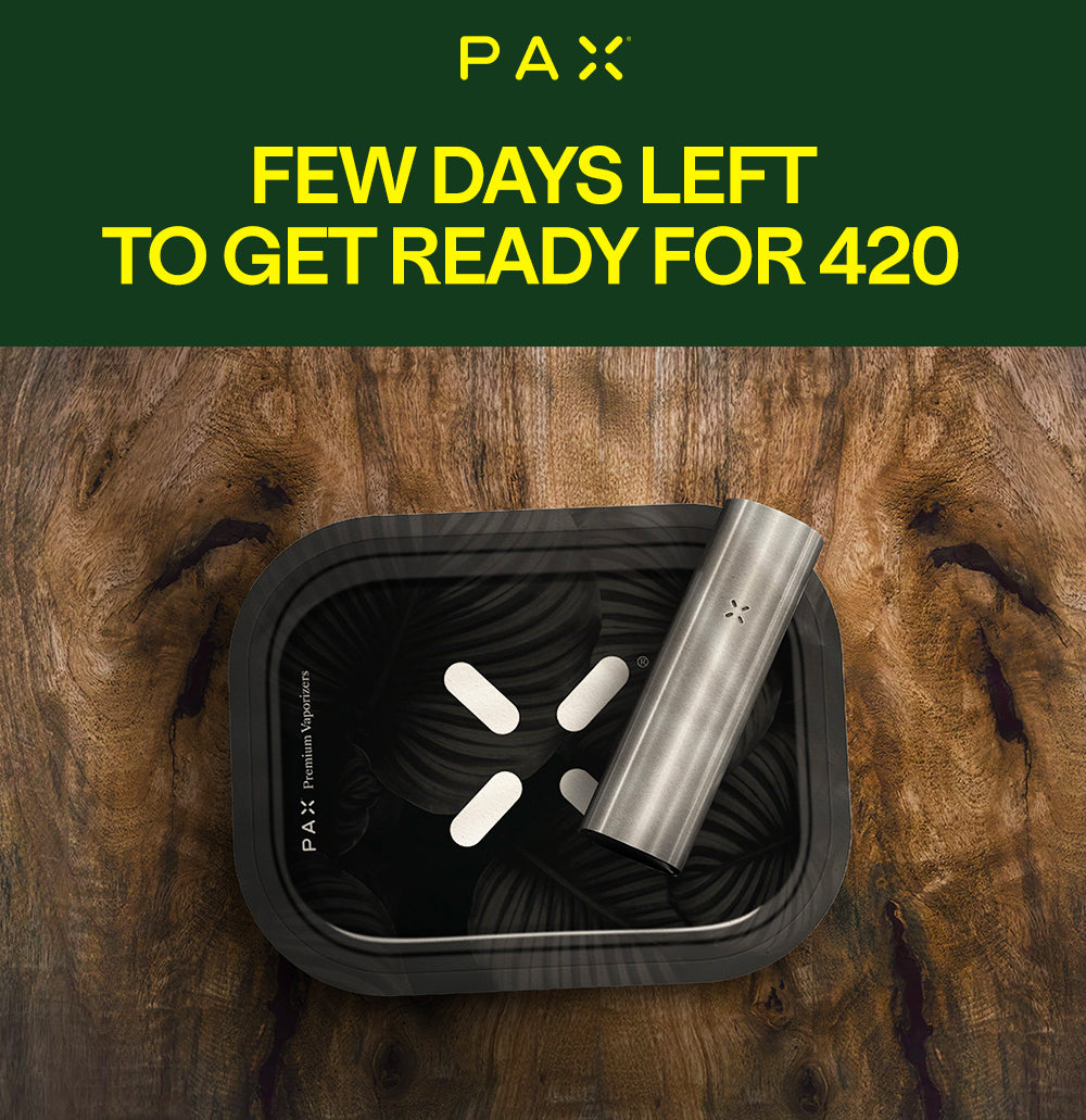 PAX-Stash-bag! Luktfri, med karbonfilter. SVART