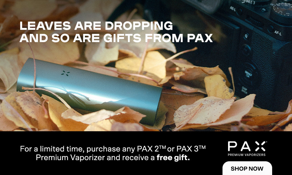 PAX-Stash-bag! Luktfri, med karbonfilter. SVART