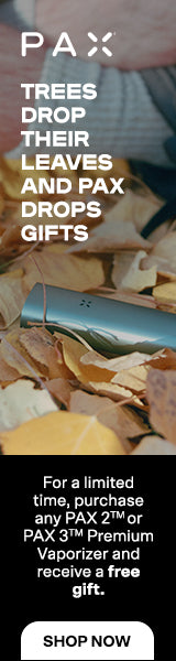 PAX-Stash-bag! Luktfri, med karbonfilter. SVART