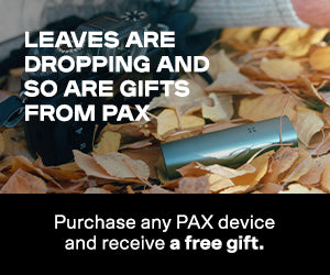 PAX-Stash-bag! Luktfri, med karbonfilter. SVART