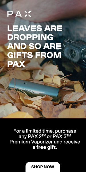 PAX-Stash-bag! Luktfri, med karbonfilter. SVART