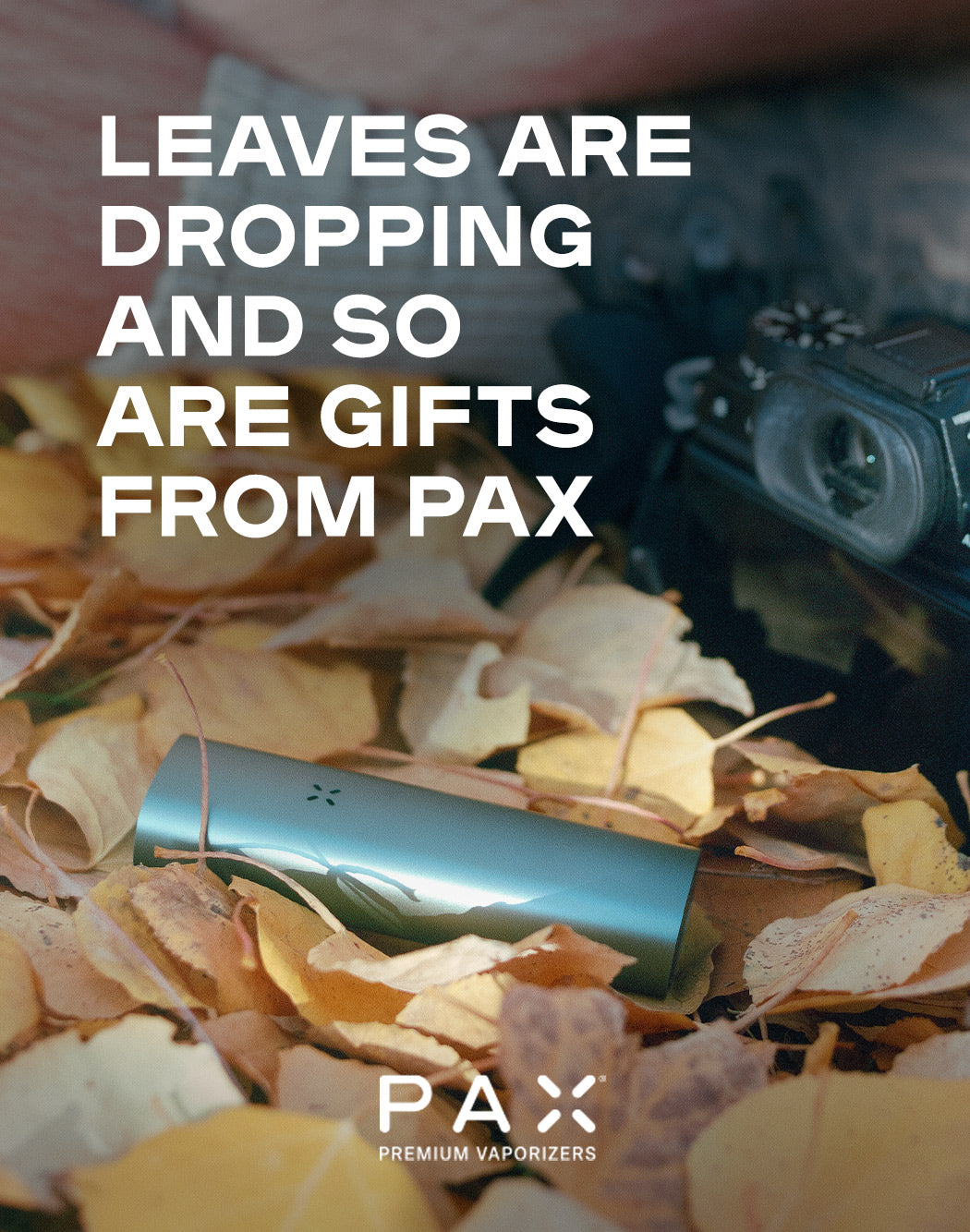 PAX-Stash-bag! Luktfri, med karbonfilter. SVART