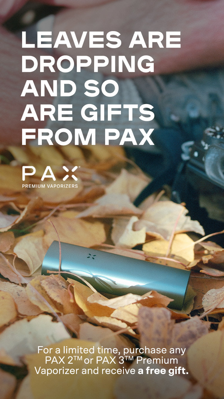 PAX-Stash-bag! Luktfri, med karbonfilter. SVART