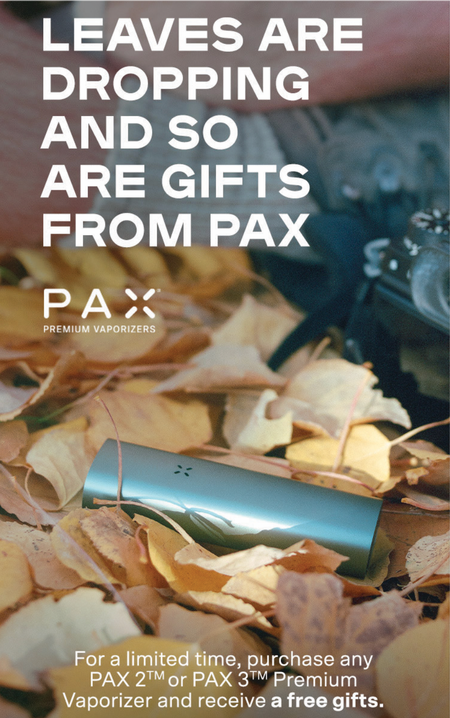 PAX-Stash-bag! Luktfri, med karbonfilter. SVART