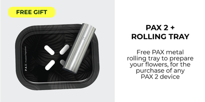 PAX-Stash-bag! Luktfri, med karbonfilter. SVART