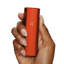 PAX MINI