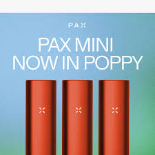 PAX MINI