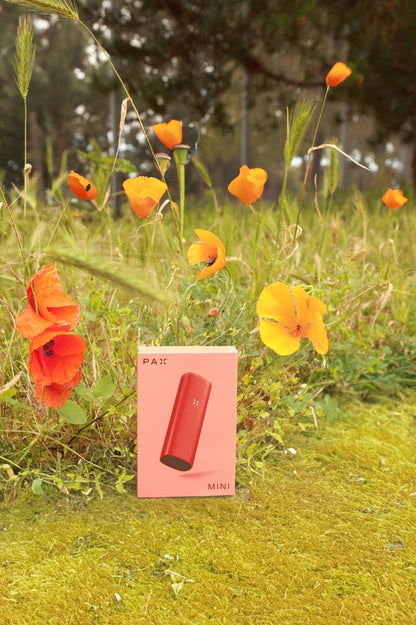 PAX MINI - LIMITED EDITION Poppy